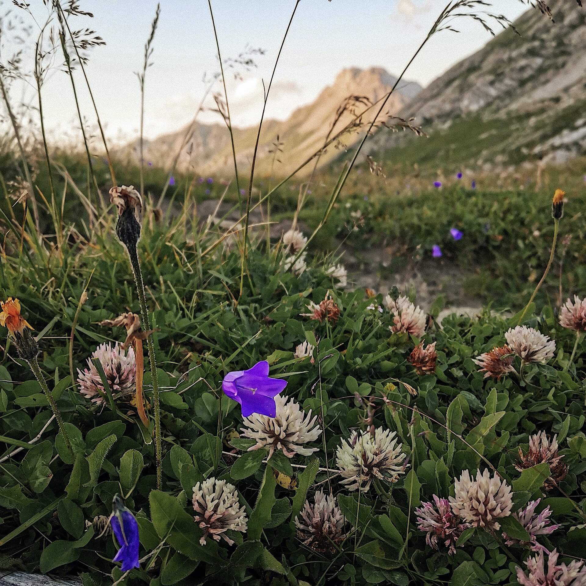 Kaiserjochhaus in , Tirol